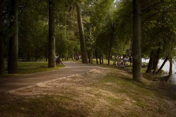 Les meilleures cannes et bâtons de marche pour les seniors